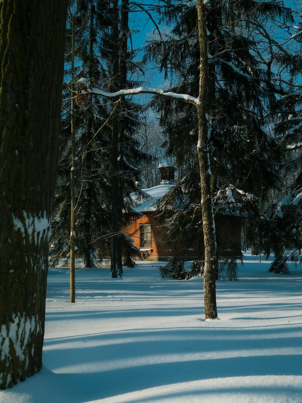 Modern winter residence