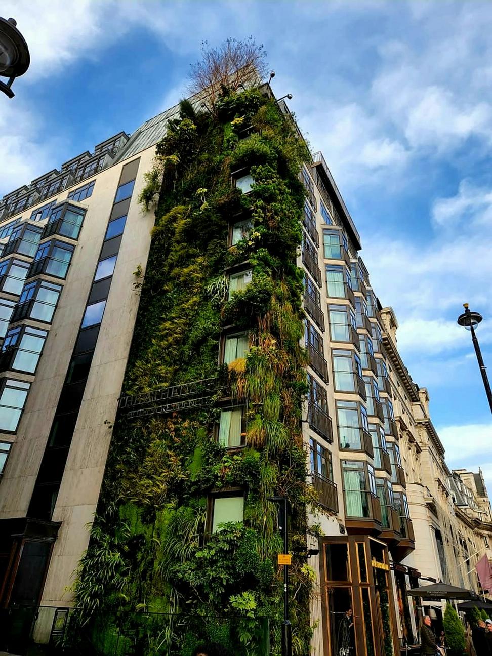 Sustainable focus