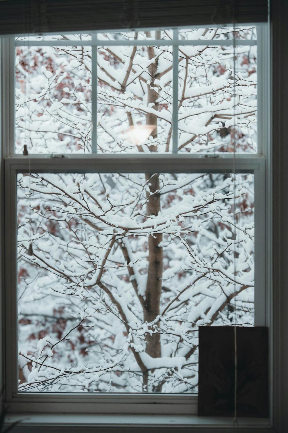 High-performance windows